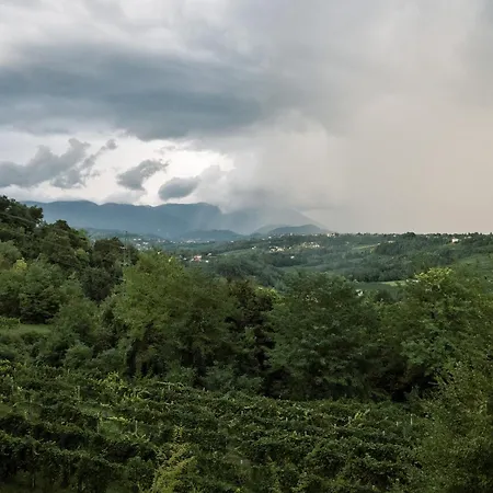 Le Vigne Incantate